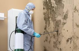 Terra Bella, CA Mold Removal & Remediation Company